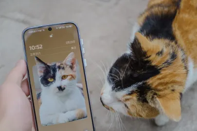 Vesper Casino Farsímaforrit